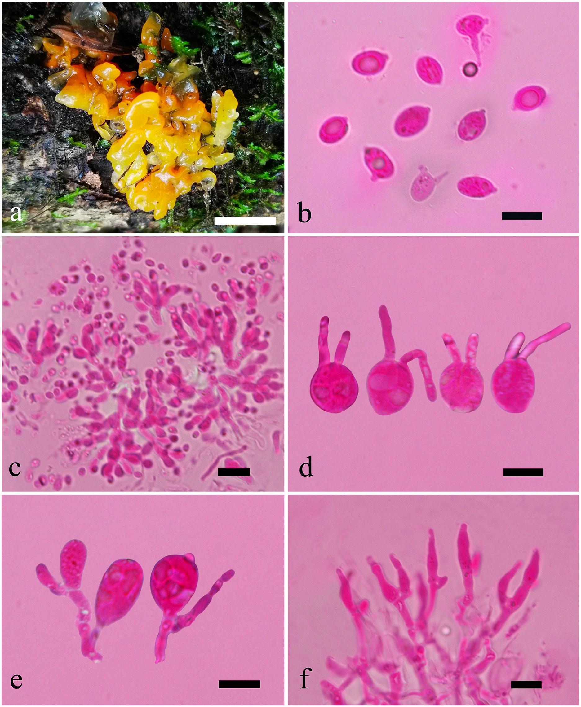 Figure 78